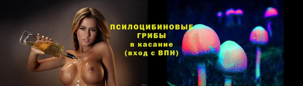 гашик Кинешма